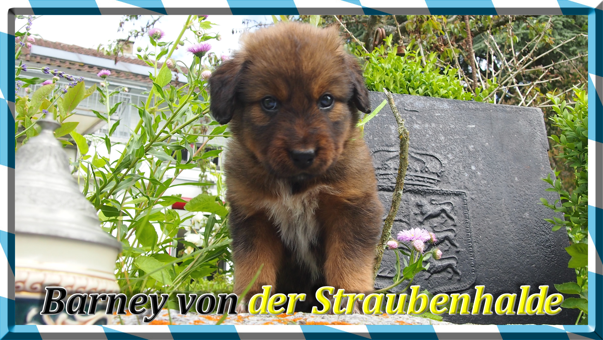 W&auml;ller von der Straubenhalde